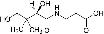 Vitamin Pantothenic Acid